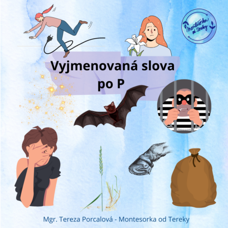Výuka vyjmenovaných slov po&nbsp;P