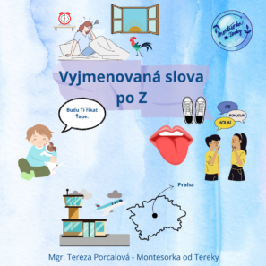 Výuka vyjmenovaných slov po Z